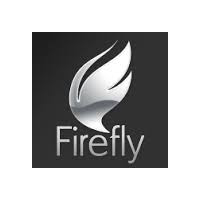 Firefly IT Support Services Dubai